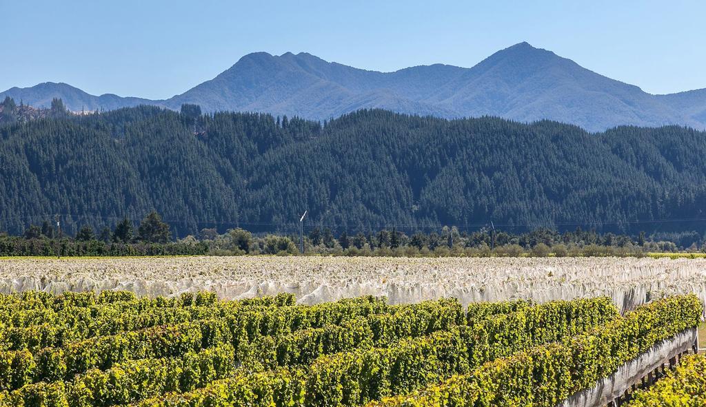 Straw Lodge Vineyard And Boutique Lodging Ренвік Екстер'єр фото